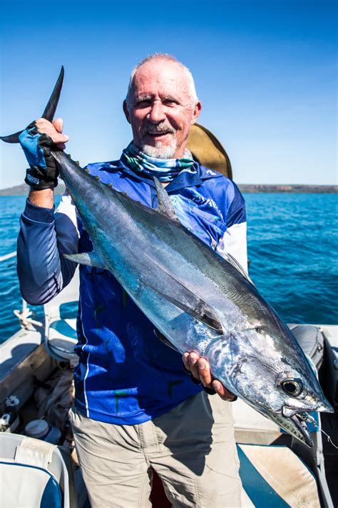 Scott's Species - longtail tuna, an exciting speedster - Recfishwest