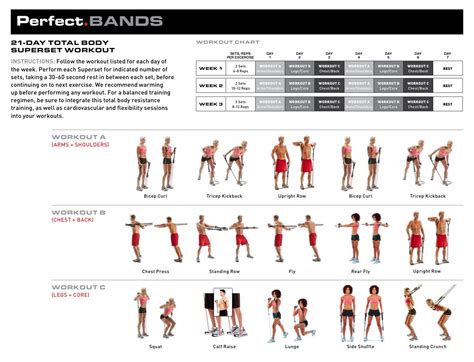 Resistance Band Exercise Program Pdf A Beginner s Guide - Cardio for ...