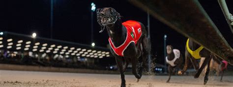 Greyhound Public Training Track Registration :: Racing Queensland