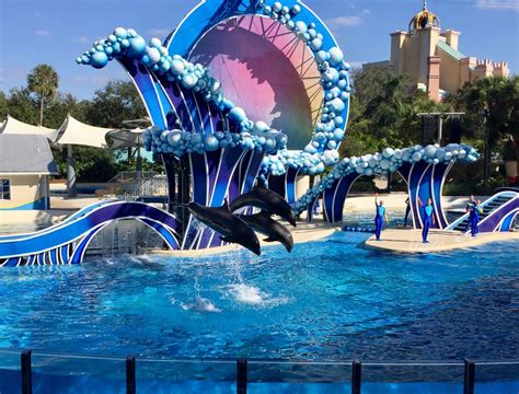 SeaWorld Orlando Tickets | Discount Tickets to SeaWorld