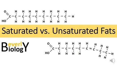 Fat Vs Saturated Fat - Gay Ass