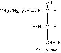 sphingosine - Google Search | Biochemistry, Math, Math equations