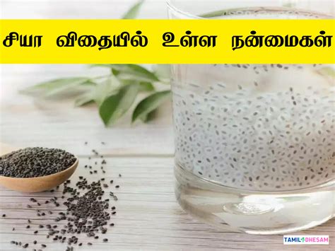 Chia Seeds in Tamil | சியா விதை தீமைகள்