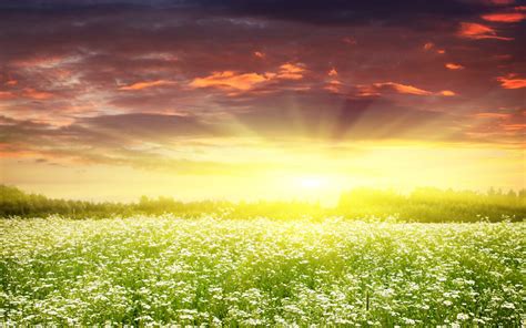 Spring Sunrise Wallpapers - 4k, HD Spring Sunrise Backgrounds on ...