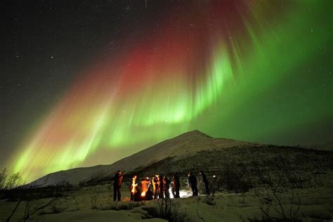 Tromso Small-Group Northern Lights Tour 2024