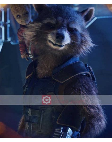 Buy Rocket Raccoon Avengers Endgame Vest