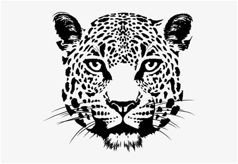 Leopard Face Outline