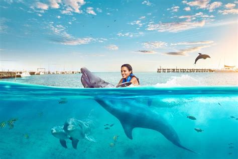 Cancun Dolphin Swim Adventure on Isla Mujeres 2023