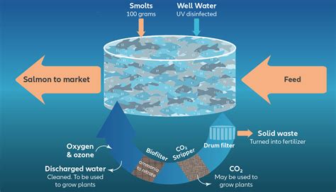 Aquaculture Systems - land and water-based - Basic Agricultural Study