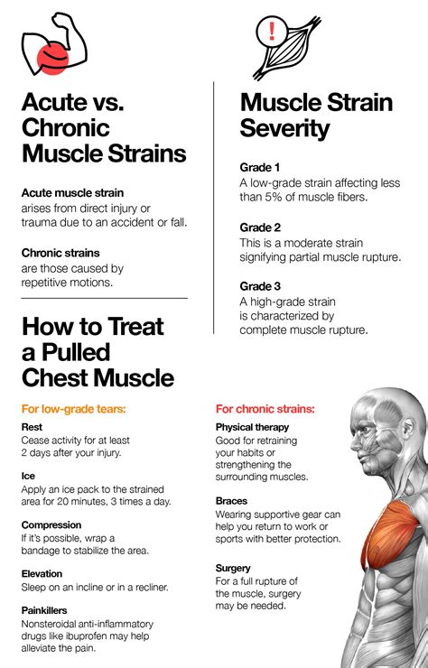 Pulled Chest Muscle: Symptoms, Causes and Treatment – The Amino Company