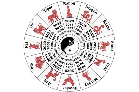 Chinese Zodiac Years Compatibility