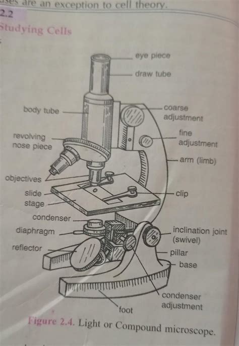 can someone can send me detailed diagram of this compound microscope ...