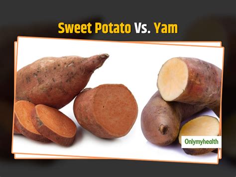 Yam Vs. Sweet potato: Breaking Down The Differences | OnlyMyHealth