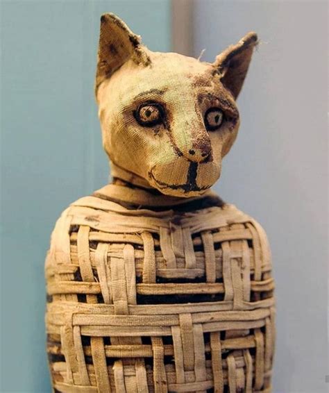 The Ancient Egyptians also mummified animals. This cat is exhibited in ...