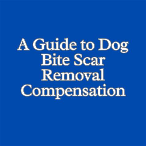 Dog Bite Scar Removal | PA Dog Bite Lawyer Jeffrey H. Penneys