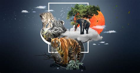 How conservation science in India evolved beyond treating humans as ...