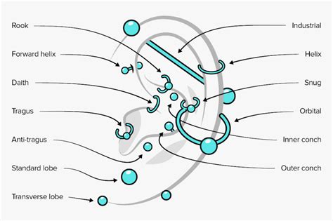 Top 10 Ear Piercing Chart You Must Know: Latest Updates