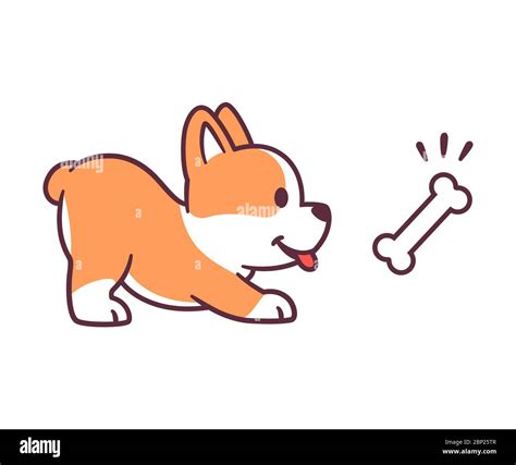 Corgi with bone hi-res stock photography and images - Alamy