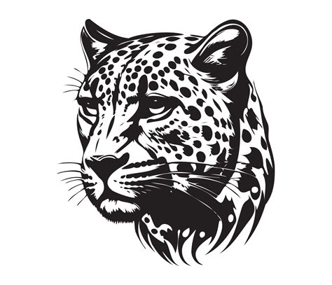 Leopard Face, Silhouettes Leopard Face, black and white Leopard vector ...