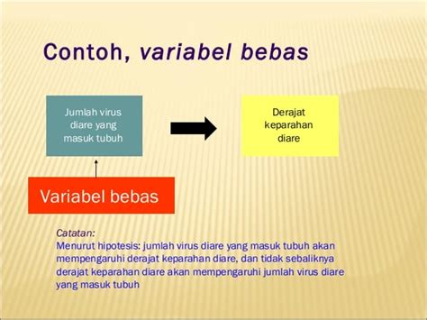 Pengertian Variabel Bebas dan Penjelasan Beberapa variabel lainnya