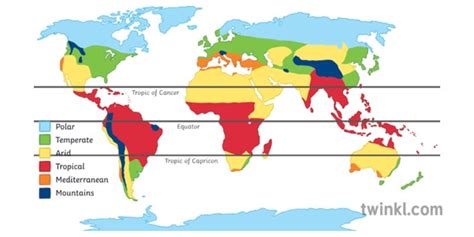 What is the Equator? | Equator Weather - Twinkl