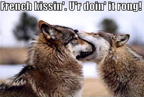 Funny Wolf Quotes. QuotesGram