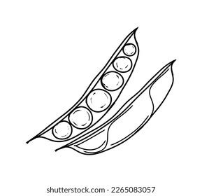 Peas Peas Pod Freehand Drawing Black Stock Vector (Royalty Free ...