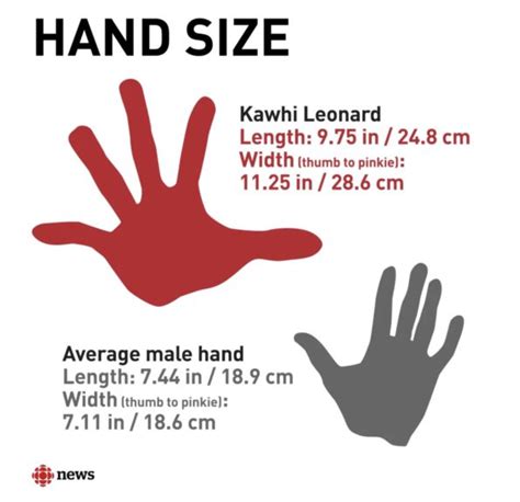 Kawhi Leonard’s Hands Are Massive: How Big Are They Exactly?