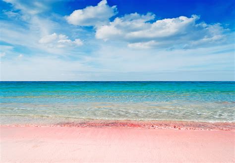 5 Pink Sand Beaches in the Caribbean & How to Get To Them