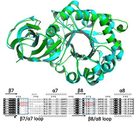 Protein Structure and Biochemical Characterization of a Novel ...