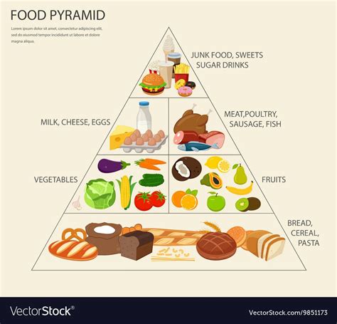 Food Pyramid Healthy Eating Infographic