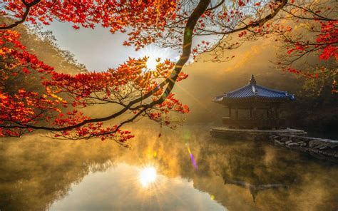 Korean Autumn Wallpapers - Top Free Korean Autumn Backgrounds ...