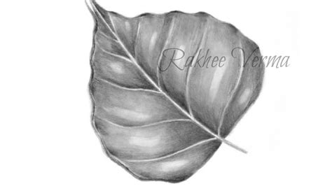 Share more than 77 pencil sketch leaf best - seven.edu.vn