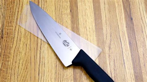 8 Inch vs 9 Inch Chef Knife [Which One to Choose?] - Kitchen Barrels