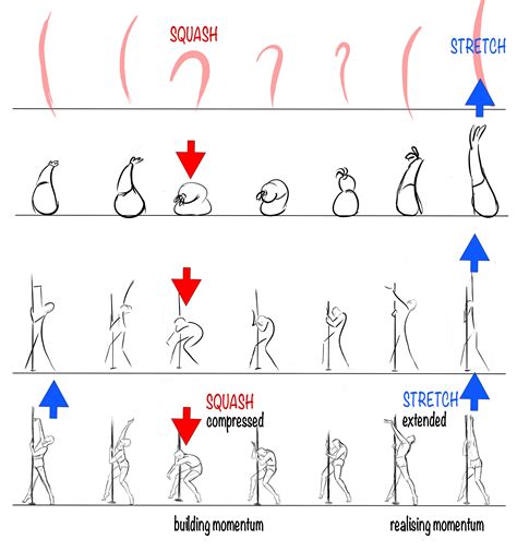 Squash and Stretch Principle - Cristina Teaching Art