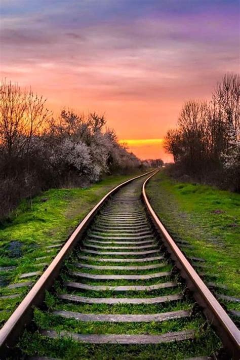 Portugal | Nature photography, Landscape photography, Train tracks