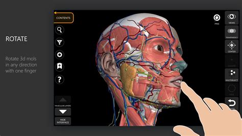 3d human anatomy atlas - vivadelta