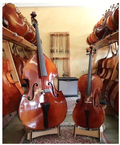 Cello Vs. Bass: 5 Key Differences You Should Know - Infamous Musician