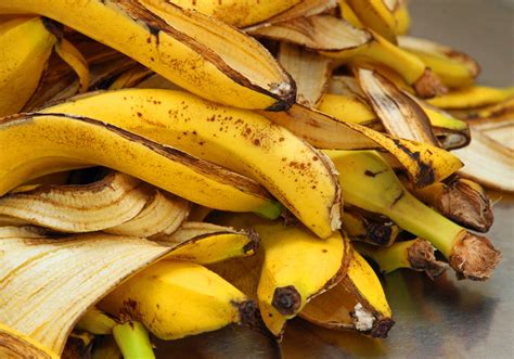 Banana Peel Compost - How To Make And Use Banana Peel Compost In Your ...