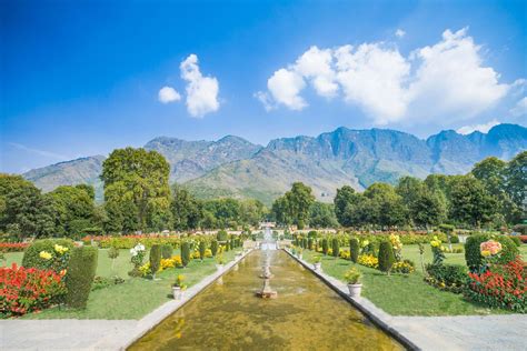 Kashmir Valley 12-day Tailor-Made Tour of India | TransIndus