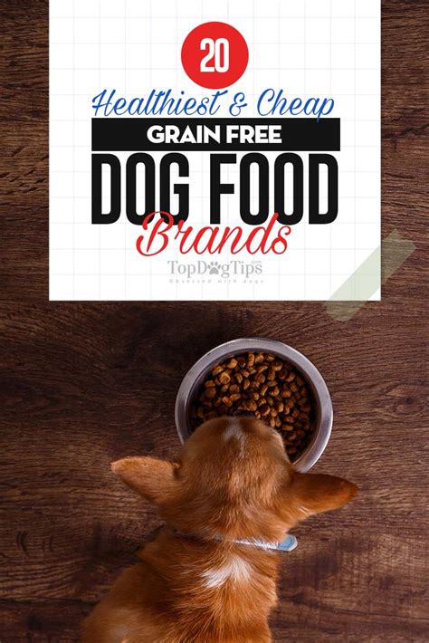 Top 20 Cheap Best Grain Free Dog Food Brands in 2018