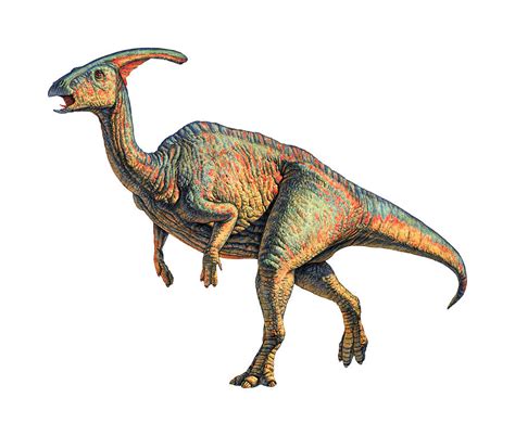 Parasaurolophus Dinosaur Photograph by Joe Tucciarone - Pixels