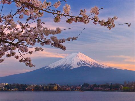 🌸 sakura 🌸 | Mount fuji japan, Scenery wallpaper, Mount fuji