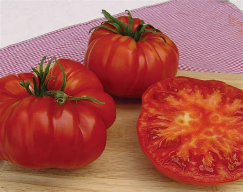 BUY GIANT TOMATO SEEDS |The Garden of Eaden