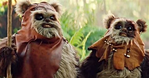 Warwick Davis Wicket