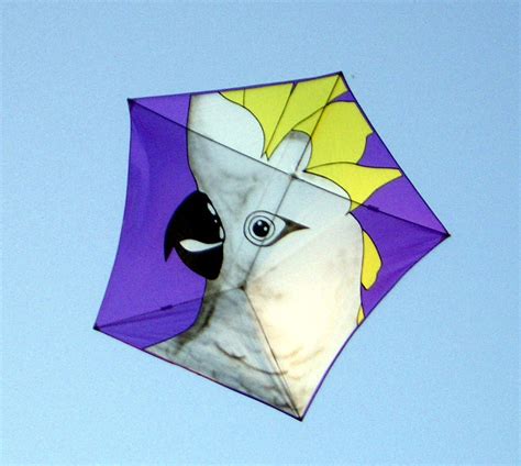 cockatoo-kite | Kite designs, Kite, Kite making