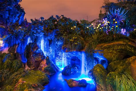 Pandora: The World of Avatar at night at Disney World’s Animal Kingdom ...