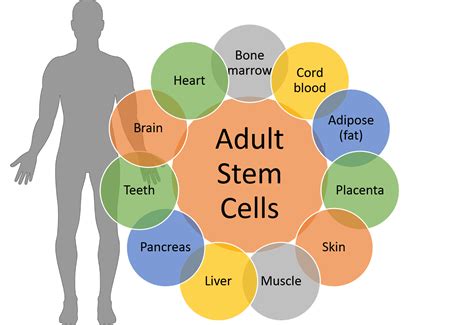 LaunchKU | Midwest Stem Cell Therapy Center