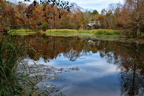 11 Best State Parks in Louisiana You Must Visit - Southern Trippers