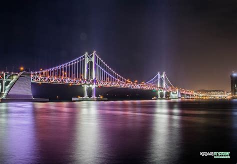 Where to see Busan best night view | Explore, Travel information, Bay ...